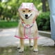 thumbnail image 5 of Abrigo impermeable para perros pequeños y gatos, con capucha, ajustable, fabricado en PVC transparente y ultraligero., 5 of 5