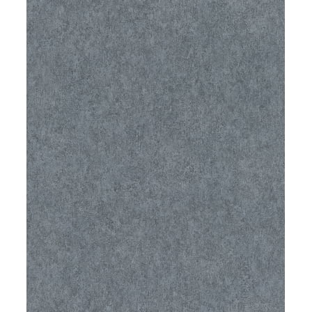 Advantage Genki Denim Distressed Wallpaper