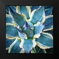 thumbnail image 2 of Bell, Jan 15x15 Black Modern Framed Museum Art Print Titled - Elegant Thorns, 2 of 5