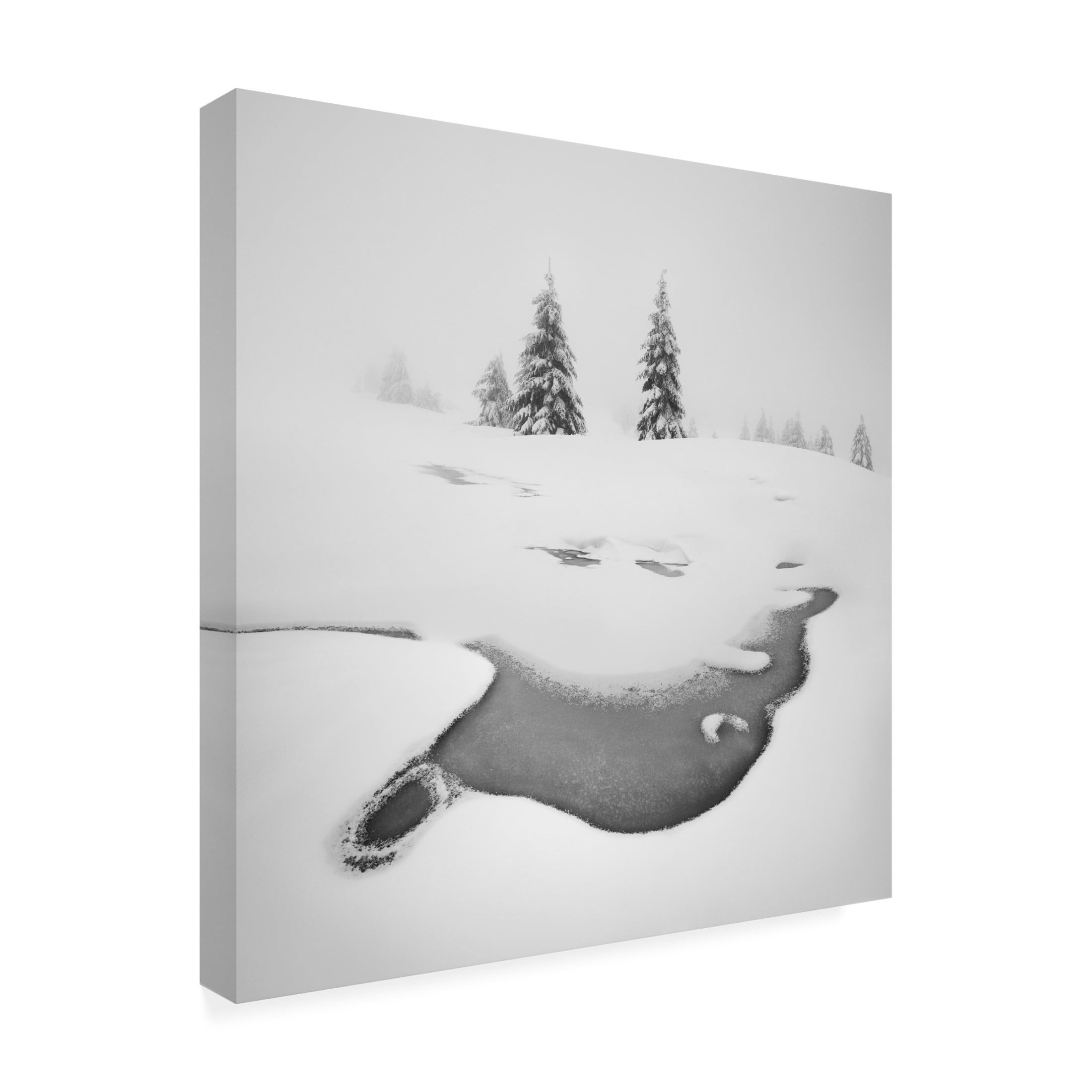 Canvas Wall Art - Daniel Rericha 'Frozen Swamps' Wall Art for Living Room, Bedroom, or Office D?cor by Trademark Fine Art - 24 x 24 Inches