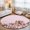 Pink, variant on Area Rugs 2x3,Watercolor Rustic Squirrel Non Slip Washable Rug Indoor Carpet Soft Floor Rugs for Home Living Room Bedroom Dining Room Office