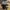 Black, variant on Vadktai Coffee Grinder Electric, Herb Grinder, Coffee Bean Grinder Small, Spice Grinder with Integrated Brush Spoon for One-touch Home Grinding