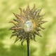 thumbnail image 4 of Sun Moon Solar Powered Light Garden Outdoor Courtyard Porche IP55 Impermeable Lámpara Decoración Iluminación Adorno Artículos para el hogar Inevent HA011071-00B, 4 of 7
