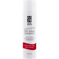 Salon Grafix Invisible Dry Shampoo, 4 Oz