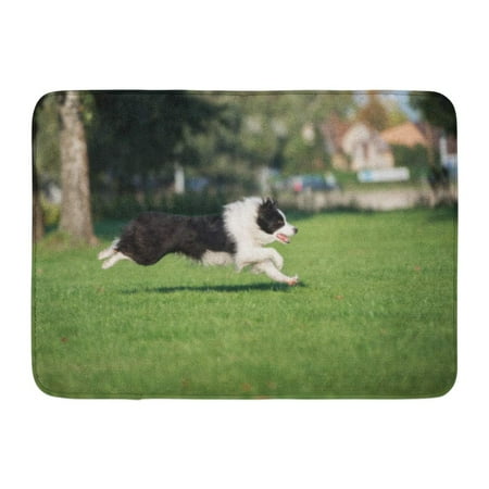 Border Collie Black And White - GODPOK Animal Green Action Black and White Border Collie Dog Running in Summer Active Attentive Rug Doormat Bath Mat 23.6x15.7 inch