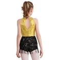 thumbnail image 4 of Sinleey Robe Justaucorps à Paillettes à Franges pour Filles, Franges, Latin, Jazz, Rumba, Salsa, Chacha, Tenue de Danse Moderne, Jaune 8, 4 of 7