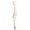 E, variant on Pen 2 Novelty Bone Shape Ballpoint Pen for Doctors and Students – Quirky Finger Pen Stationery Idea