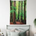 thumbnail image 4 of Woodland Tapestry, Redwood Trees Northwest Rain Forest Tropical Scenic Wild Nature Lush Branch, Wall Hanging for Bedroom Living Room Dorm Decor, Green Redwood, by Ambesonne, 4 of 5