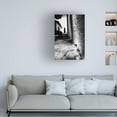 thumbnail image 3 of Canvas Wall Art - Ali Ayer 'Alley' Wall Art for Living Room, Bedroom, or Office D?cor by Trademark Fine Art - 16 x 24 Inches, 3 of 4