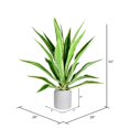 thumbnail image 2 of Vickerman 34" Plante de Yucca en Pot - FU190134, 2 of 2