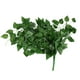 thumbnail image 3 of Fiudx Guirnalda de Hojas Colgantes Artificiales, Diseño de Tela Verde, Aspecto Natural, Decoración para Bodas, Hogar y Jardín, Decoración para Festivales Al Aire Libre, 90 Cm de Largo, Varias Hojas., 3 of 7