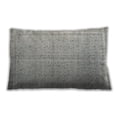 thumbnail image 1 of Ahgly Company Outdoor Rectangular Contemporary Lumbar Throw Pillow, 13 inch by 19 inch, 1 of 5