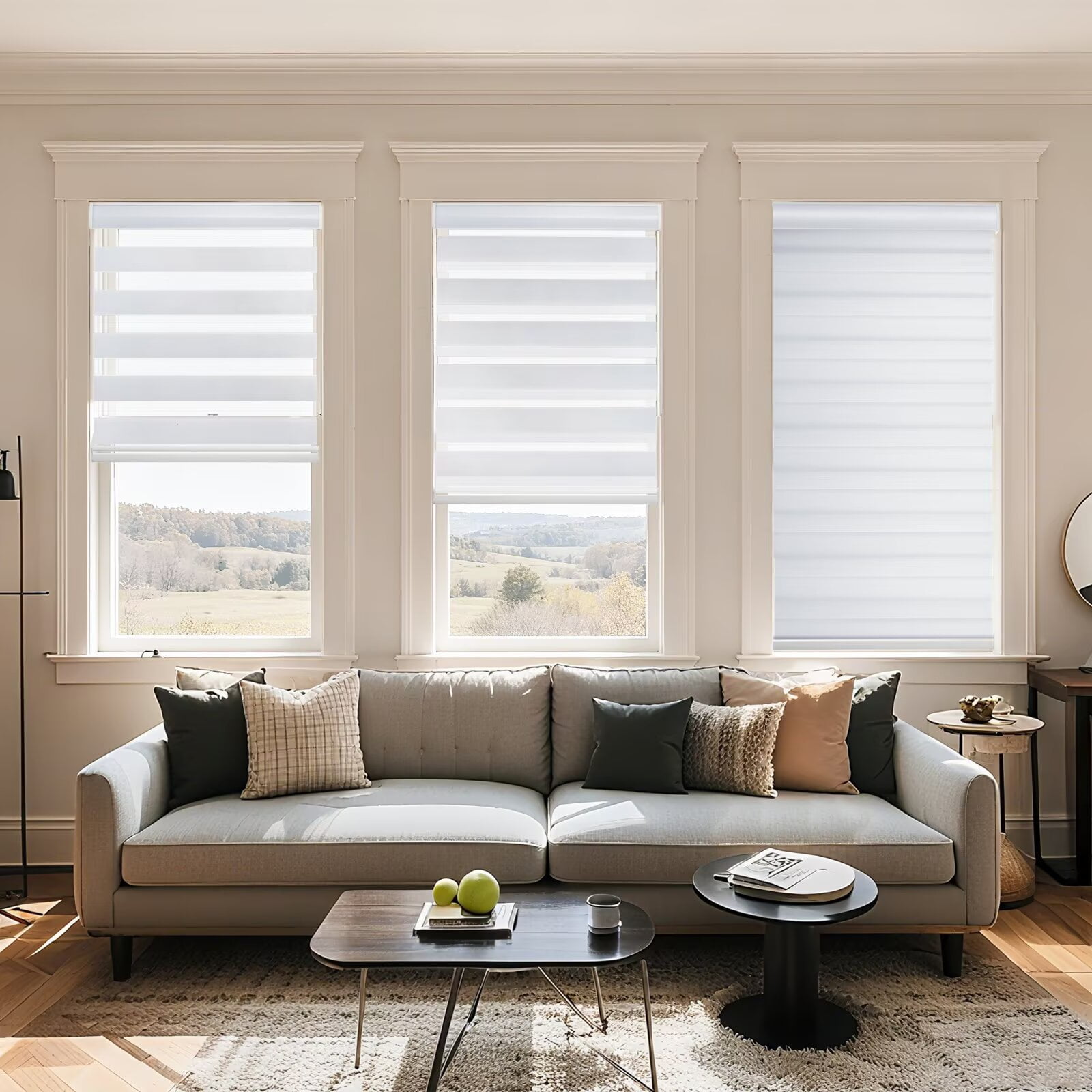 MYshade Cordless Zebra Blinds White-36"W*72"H Pull Down Roller Window Shades Double Layer Light Control Free Stop Window Shades Day and Night Blinds Easy Installation for Home
