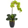 thumbnail image 1 of Phalaenopsis Orchid Artificial Arrangement in Black Vase, Green, 1 of 1