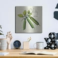 thumbnail image 6 of Luxe Metal Art 'Linen Vegetable IV v2' by Studio Mousseau, Metal Wall Art, 12"x12", 6 of 7