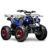 Seangles GAS 125cc ATV Quad 4 Wheeler for Adults and Kids Four Wheelers with Off-Road Tires (Blue)