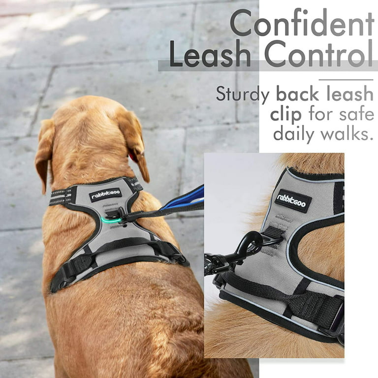 Eagloo Dog Harness No Pull, Walking Pet Harness with 2 Metal Rings and  Handle, Adjustable Reflective Breathable Oxford Soft Vest Easy Control  Harness