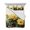 Off White, variant on Quilts Twin Size Bedding Set, Spring Floral Lightweight Quilted Comforter, Yellow Roses Flowers Rustic Botanical Pink Soft Reversible Bedspread Coverlet with Pillow Covers for All Season, 68" x 86"