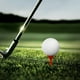thumbnail image 4 of 10PCS Golfs Glass Type Non Limiting Nails Plastic Holders Low Resistance Accessories Non Limiting, 4 of 6