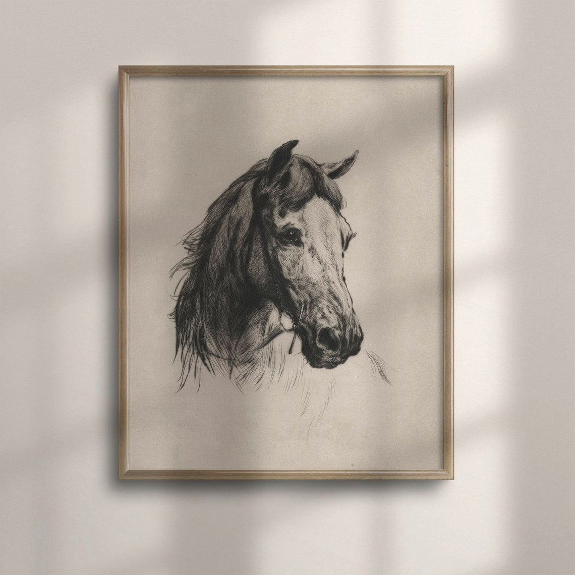 Antique Horse Sketch Vintage Equestrian Wall Art Print Farmhouse Nature Inspired Living Room Decor