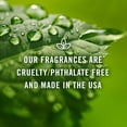 thumbnail image 6 of Winter Set of 6 Fragrance Oils - Premium Grade Scented Oil - 10ml - Cinnamon, Gingerbread, Sugar Cookies, Harvest Spice, Peppermint, Christmas Wreath, 6 of 6