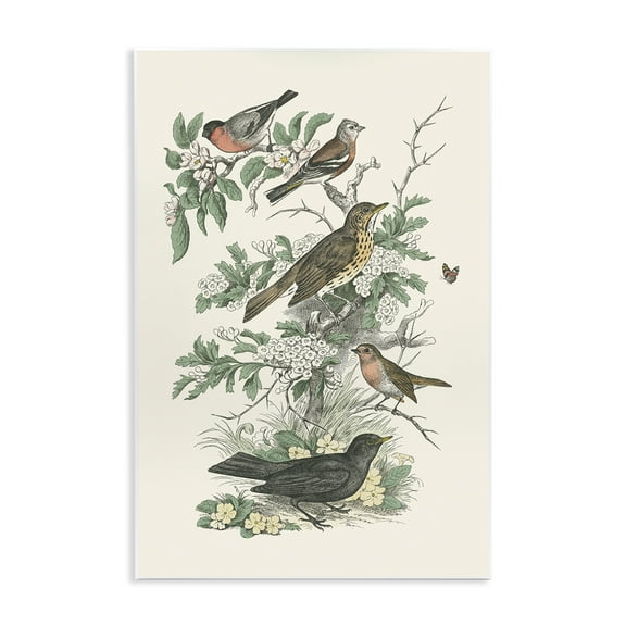 Stupell Industries Honeybloom Birds Perched Botanical & Floral Painting Unframed Art Print Wall Art, 10 x 15
