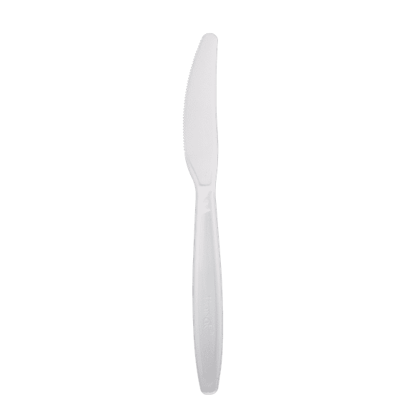 Karat Polystyrene Tea Spoon Disposable Spoons Pack, Clear, 1000 Count