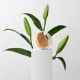 thumbnail image 7 of The Hair Edit Scalp Renew Bamboo Shampoo Scalp Massage Brush, 7 of 7