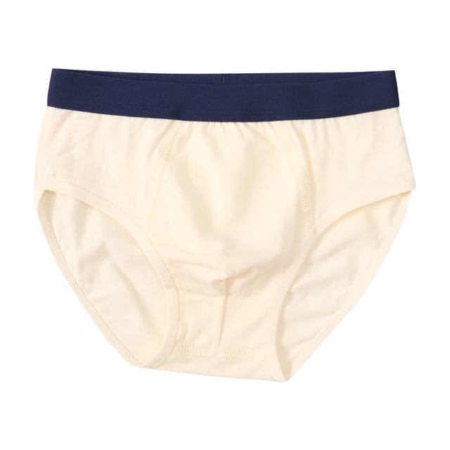 Boys' Briefs Underwear for Men Solid Color Breathable Cool Silk Cavalry Multipc