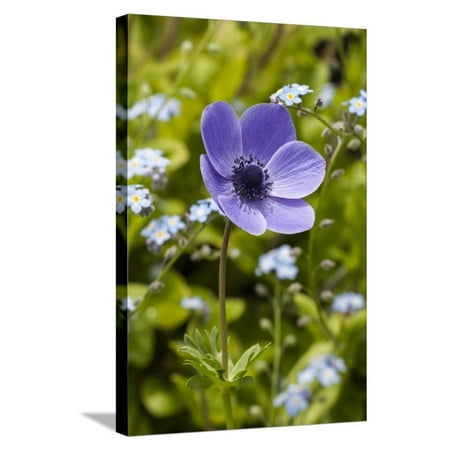 Longwood Gardens Christmas Discount Longwood Garden Spring Stretched Canvas Print Wall Art By Richard T. Nowitz ()