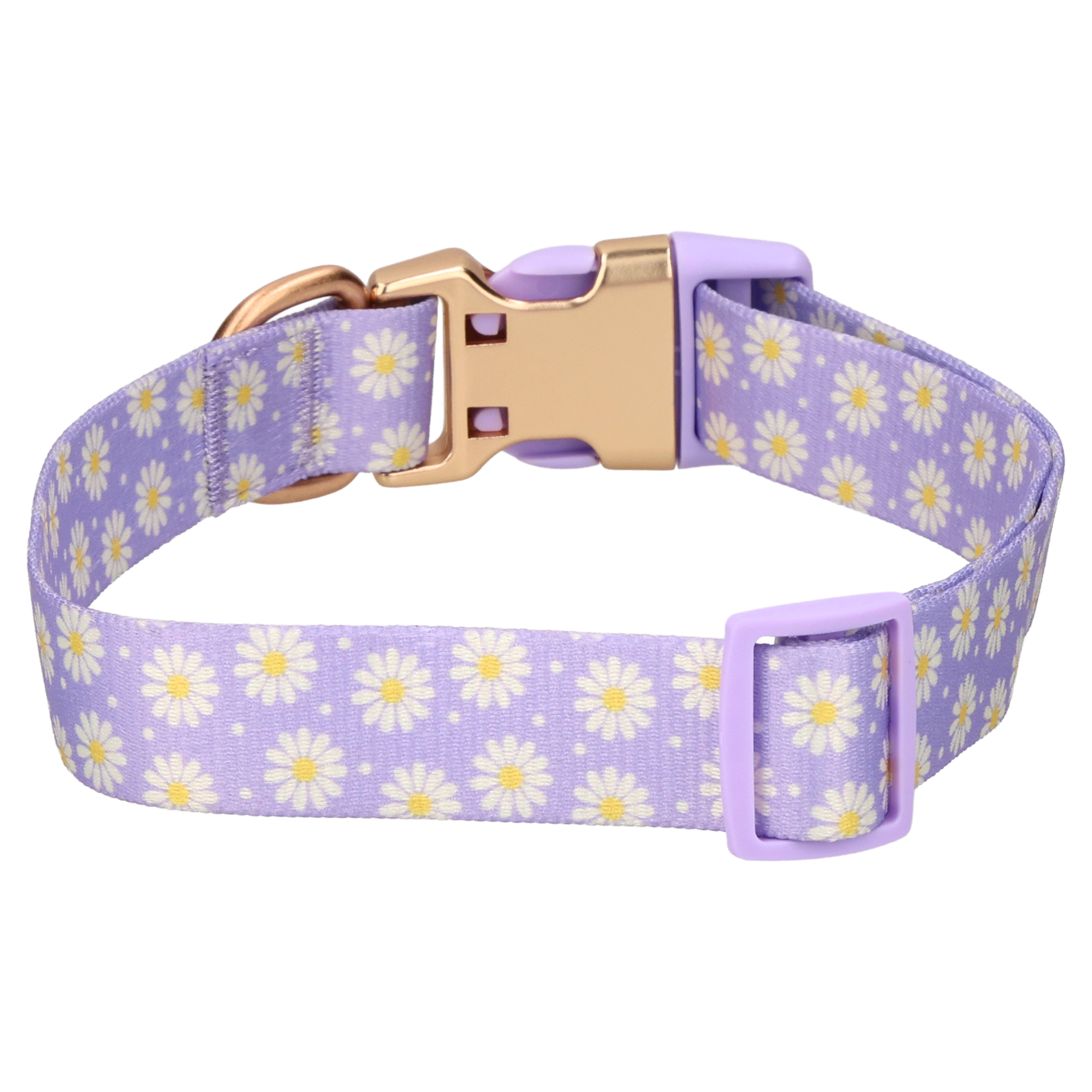 Vibrant Life Daisy Dreams Adjustable Dog Collar, Purple photo 7