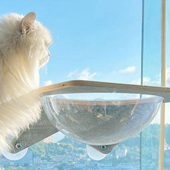 Window Cat Climbing Frame,Glass Wall Cat Climbing Window Cat Climbing Shelf Window Cat Scratcher Breakthrough Technology