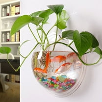 FOLOYORI Hydroponic Wall-Mounted Fish Bowl Acrylic 1Pcs