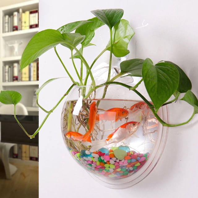 OULII WallMounted Fish Bowl Transparent for Gardeners Home Decoration 1Pcs