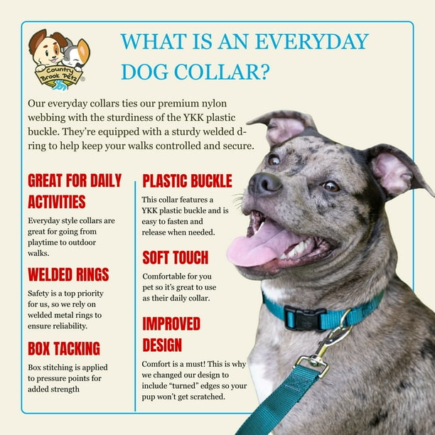 Country Brook Petz® Everyday Teal Nylon Dog Collar, Small