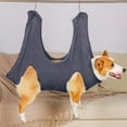 thumbnail image 1 of Serviette de Beauté Réparatrice pour Chat et Chien, Hamac, 1 of 9