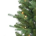 thumbnail image 4 of 6.5 ft. Pre Lit Clear Incandescent Natural Cut Narrow Dover Pine, 4 of 5