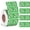 Green, variant on 500 count 2026 Year Stickers File Folder Year Labels Rectangle Coded Colored Year Stickers Self Adhesive Year Labels Tab File Folders Office Supplies, 1 Roll, 3/4" x 1-1/2"(Red)