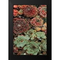 thumbnail image 2 of Frates, Dennis 17x24 Black Modern Framed Museum Art Print Titled - Succulent Collection I, 2 of 5