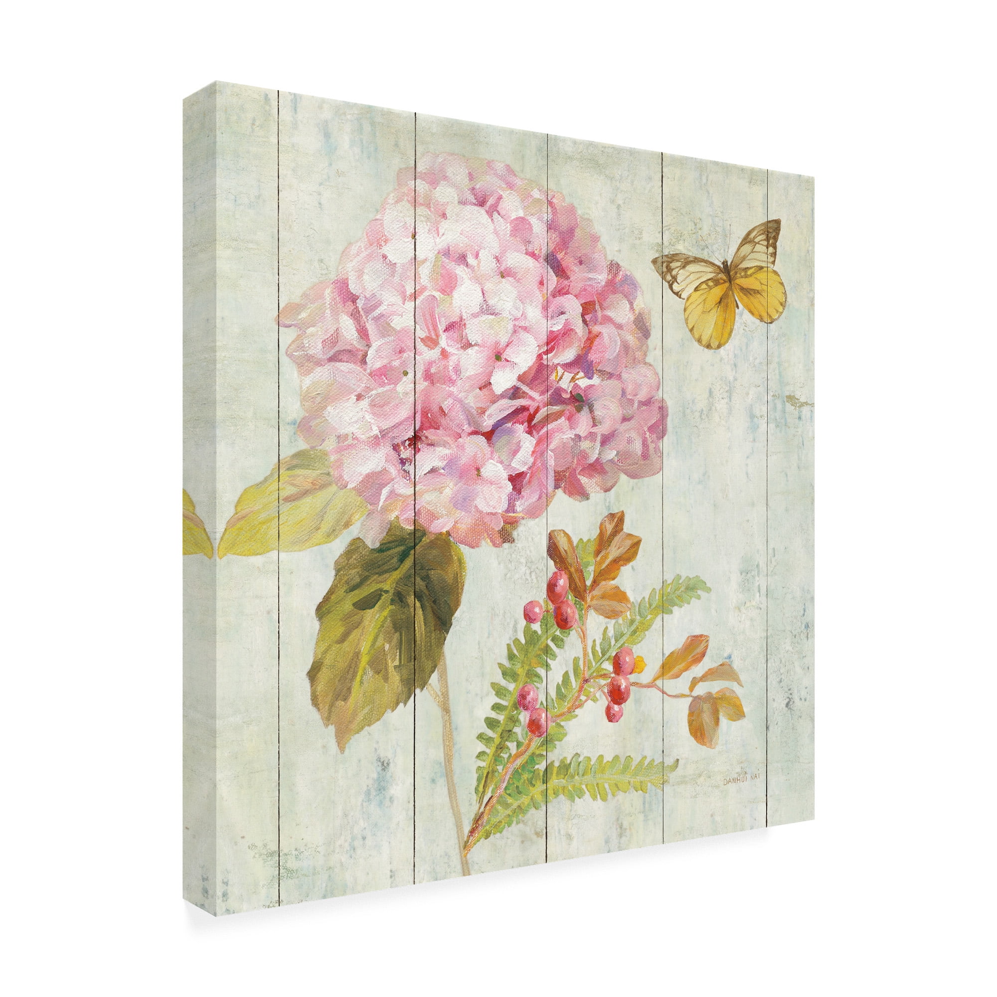 Trademark Fine Art 'Natural Flora III' Canvas Art by Danhui Nai