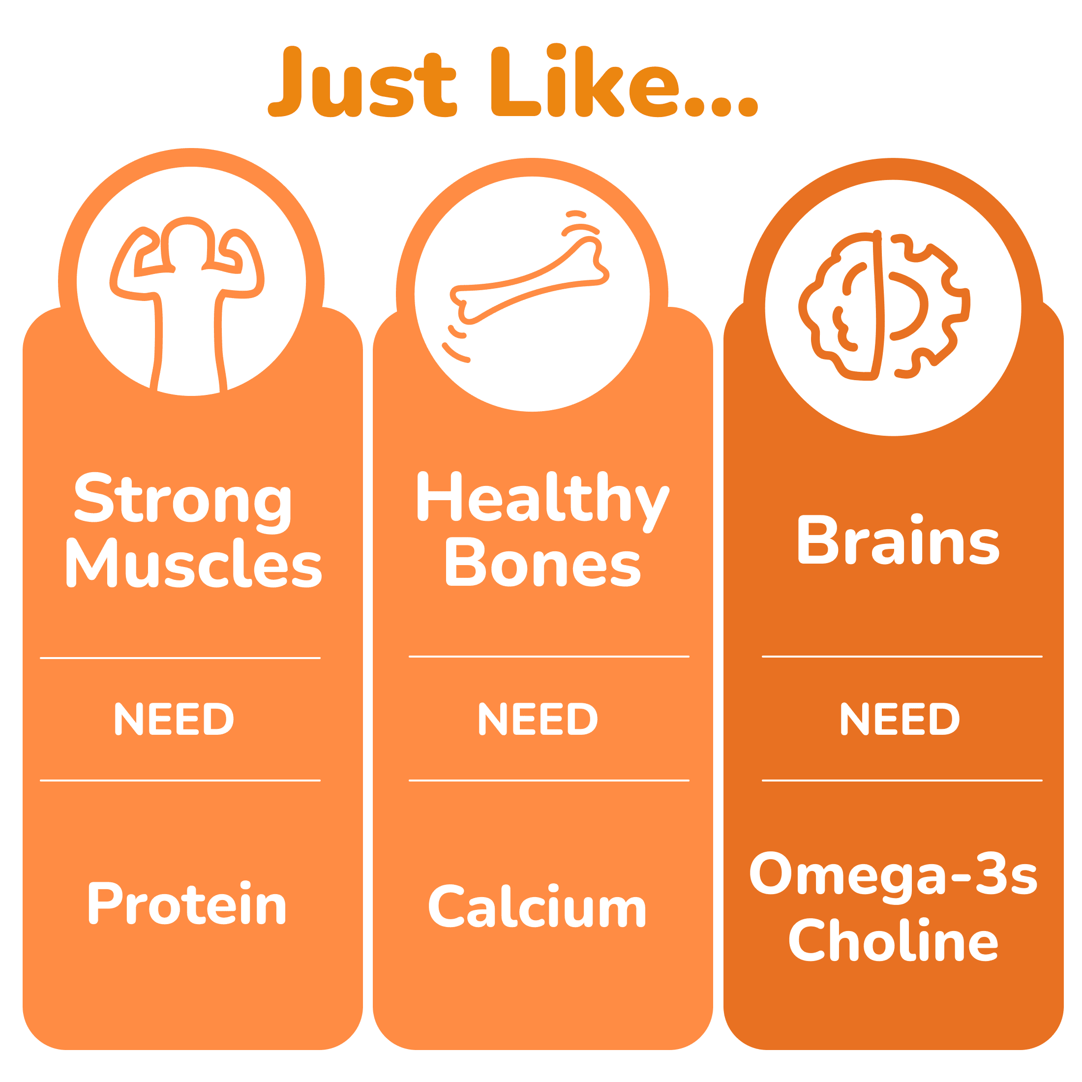 Little Brainiac Organic Fruit & Oat Variety Pack with BrainPack, 3.5oz, 6ct