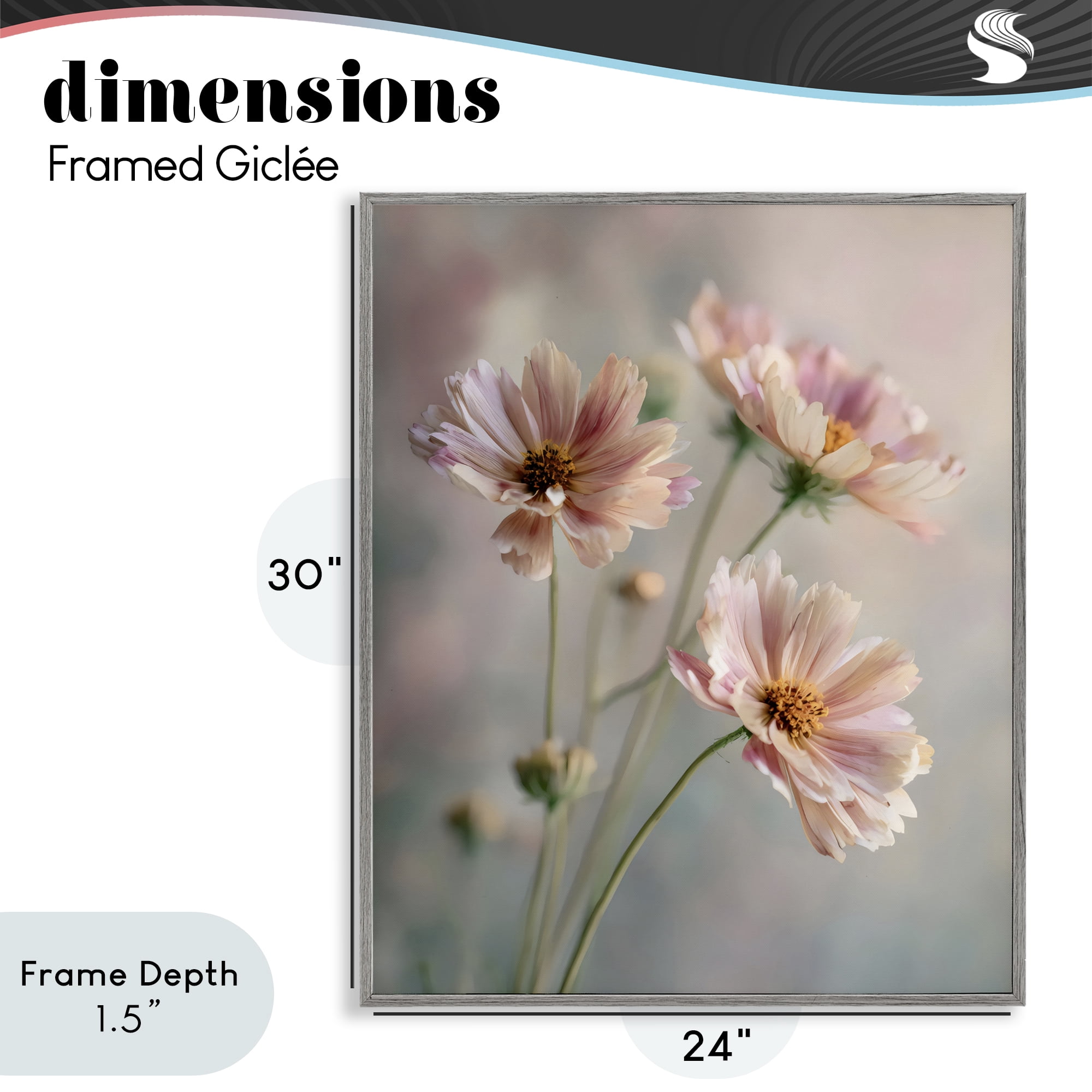 Stupell Industries Pink Daisies Close Up Gray Framed Giclee Art, design by Franklyn Gregory