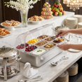 Countertop Ice Food Serving Display Container, 9 Pan Set | Clear Roll ...