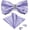 Lilac Paisley, variant on Bow Ties for Men Silk Pre-Tied Bowtie Box