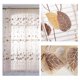 thumbnail image 4 of 1x2M decorativo hoja transparente tul gasa puerta ventana habitación cortina transparente cortina marrón, 4 of 8