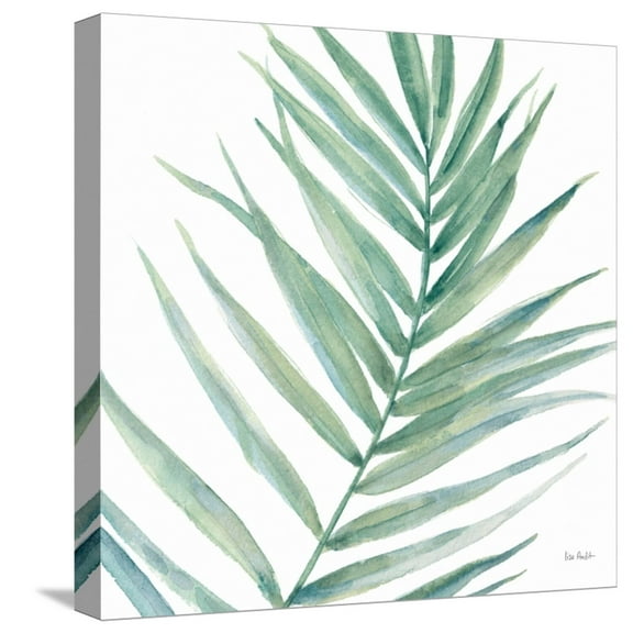 Art.com Tropical Blush IX BG Stretched Canvas Print Wall Art by Lisa Audit, 16" x 16"