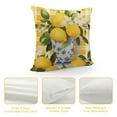 thumbnail image 4 of HENGT  Lemon Throw Pillow Covers Summer Fruit Farmhouse Decorative Pillows Case Soft Cushion Covers for Couch Sofa Patio Garden Home Decor, 4 of 5
