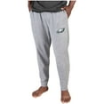 thumbnail image 2 of Men's Concepts Sport Gray Philadelphia Eagles Lightweight Jogger Sleep Pants, 2 of 2