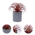 thumbnail image 3 of 1pc Artificial Plant Bonsai Adornment Mini Simulation Potted Plants Bonsai, 3 of 8