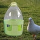 thumbnail image 5 of Contenedor de agua para pájaros con salida de comida automática, bebedero portátil para palomas, bebedero automático para periquitos, codornices, 4 litros, 5 of 8